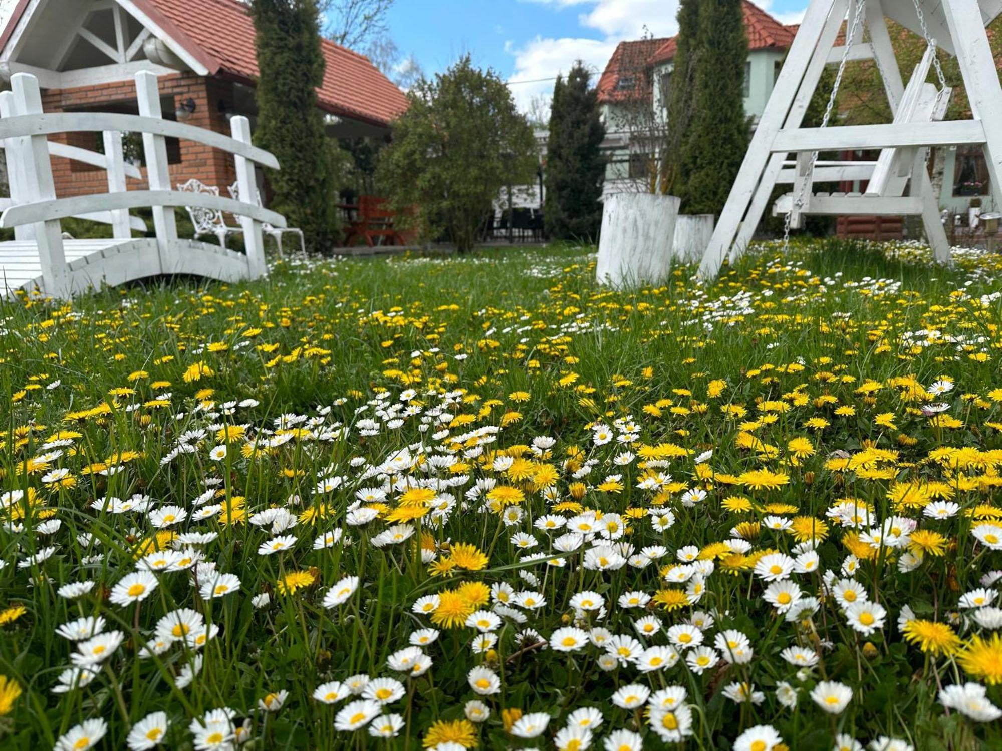 Pensiunea Poiana Avrigului ภายนอก รูปภาพ