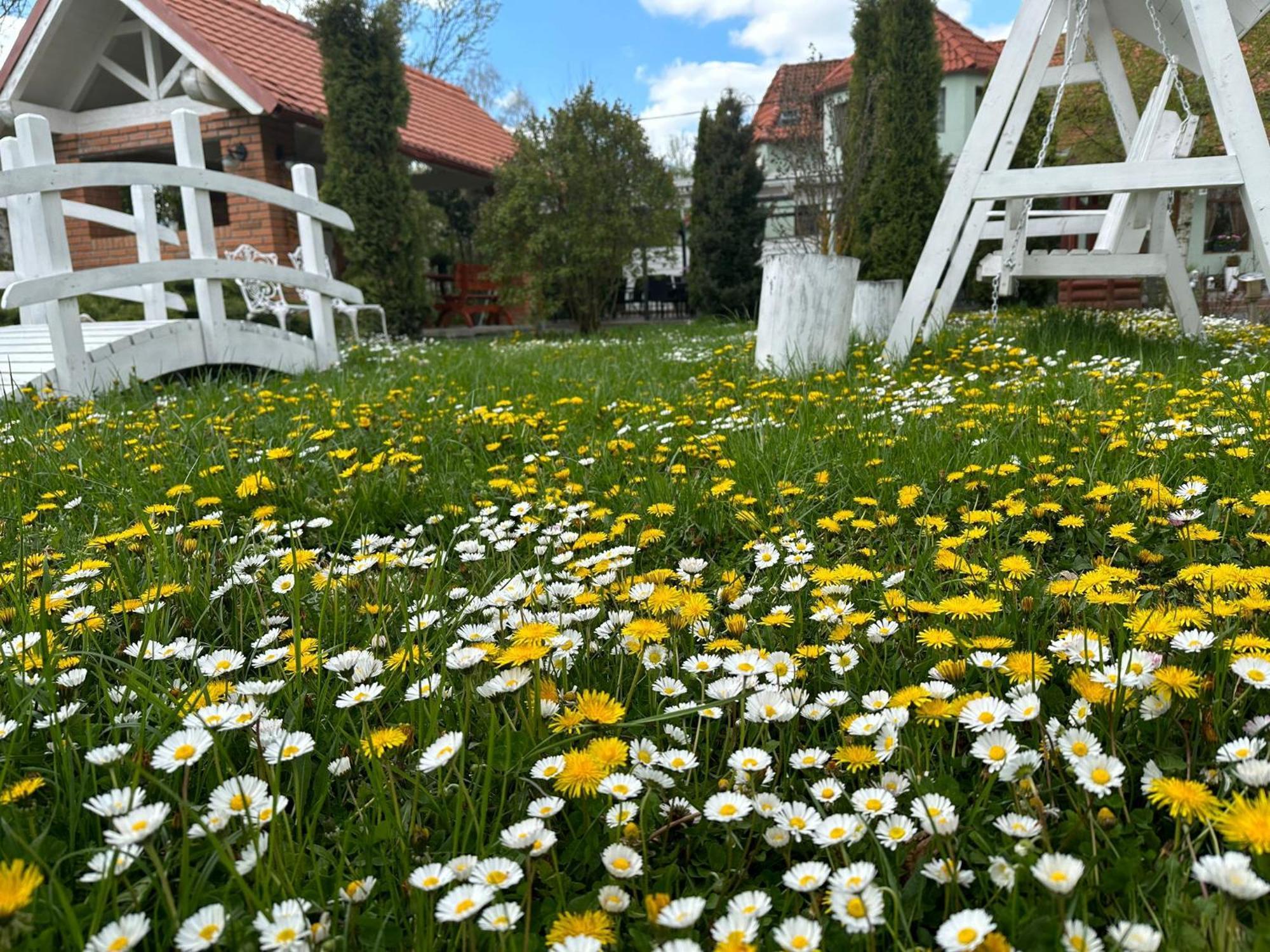 Pensiunea Poiana Avrigului ภายนอก รูปภาพ
