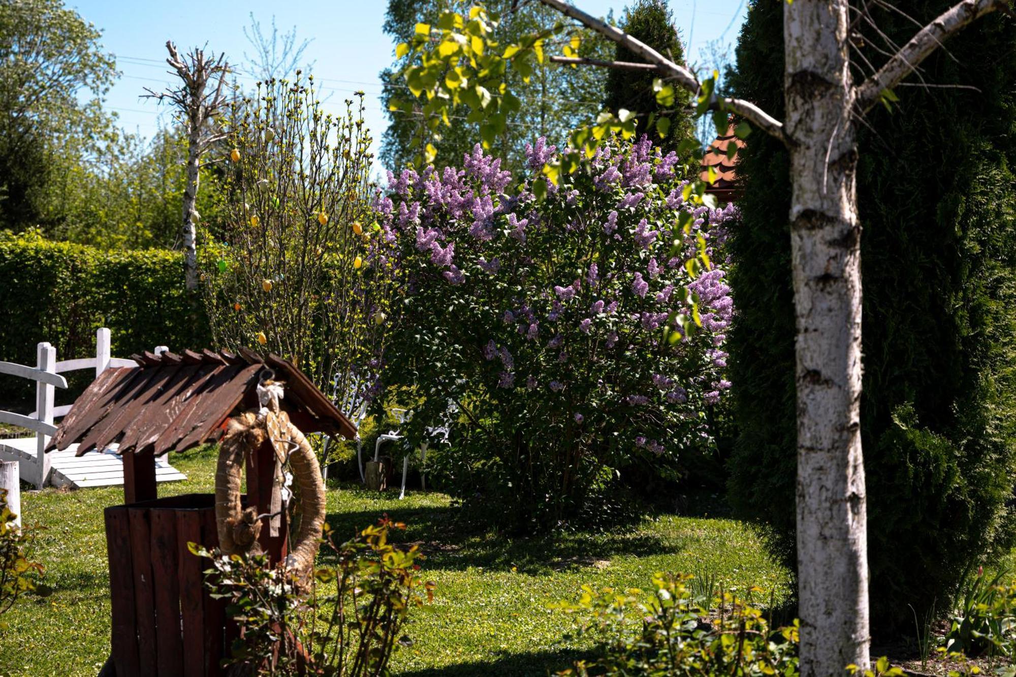 Pensiunea Poiana Avrigului ภายนอก รูปภาพ